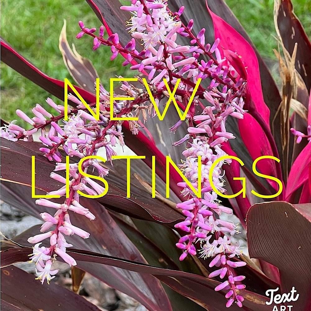 New items listed! - Picture 11 of 16